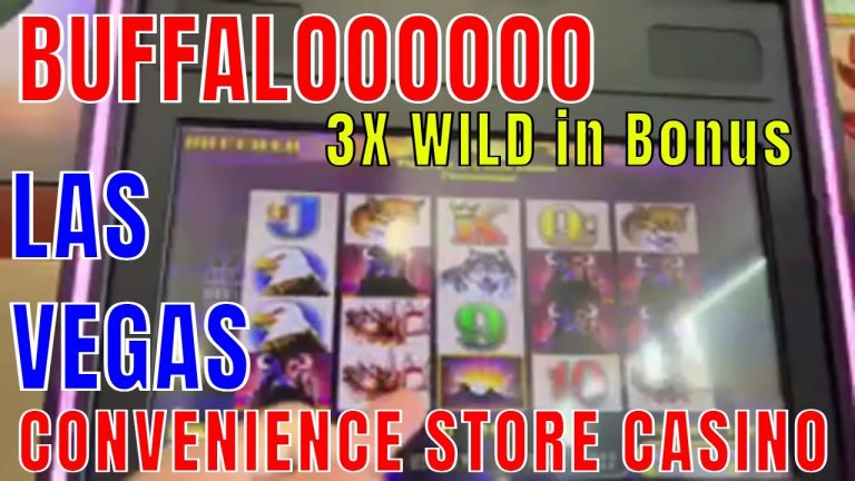 Convenience Store WINNER BUFFALO Slot Machine Casino PLAY $100 Buy in – BONUS GAMES WIN!